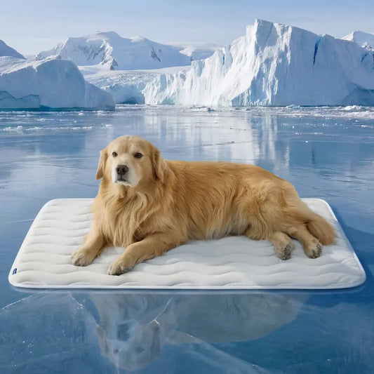 Dog Cooling Mat Summer Pet Cold Bed Extra Large For Small Big Dogs Pet Accessories Cat Durable Blanket Sofa Cat Ice Pad Blanket