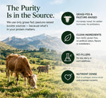 Grass Fed Bone Broth Protein Powder